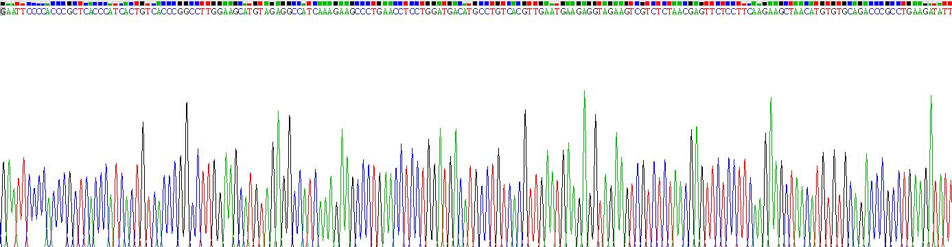 Recombinant Colony Stimulating Factor 2, Granulocyte Macrophage (GM-CSF)