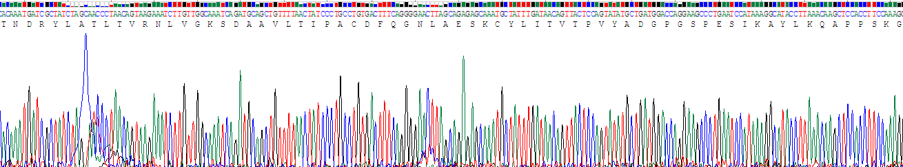 Recombinant Glycoprotein 130 (gp130)