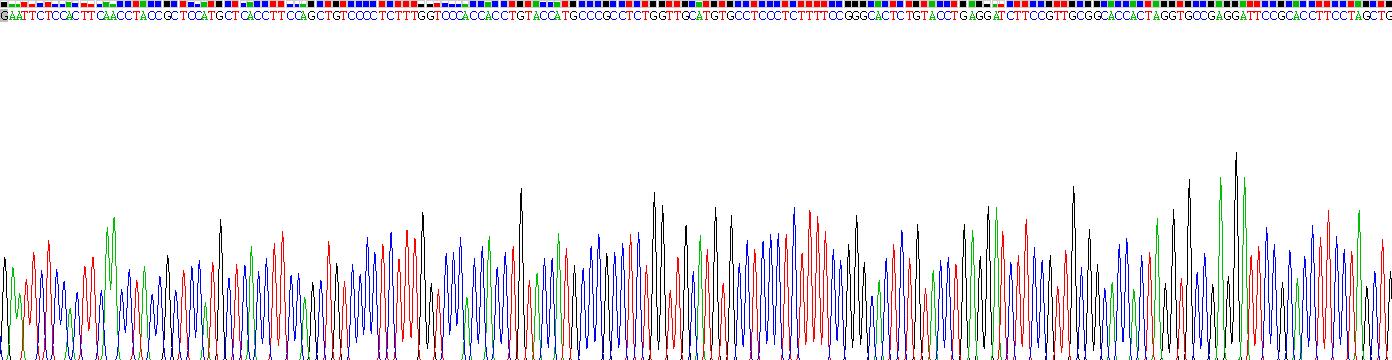 Recombinant Inhibin Beta E (INHbE)