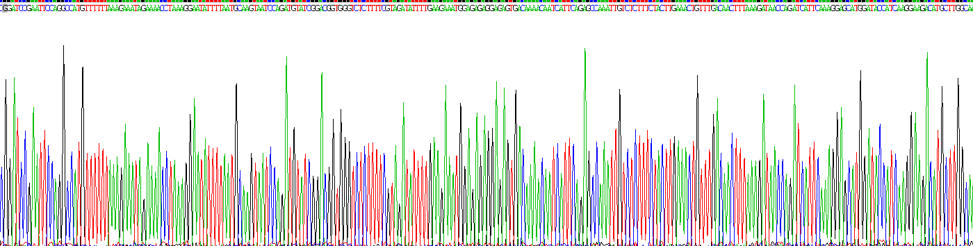 Recombinant Interferon Gamma (IFNg)