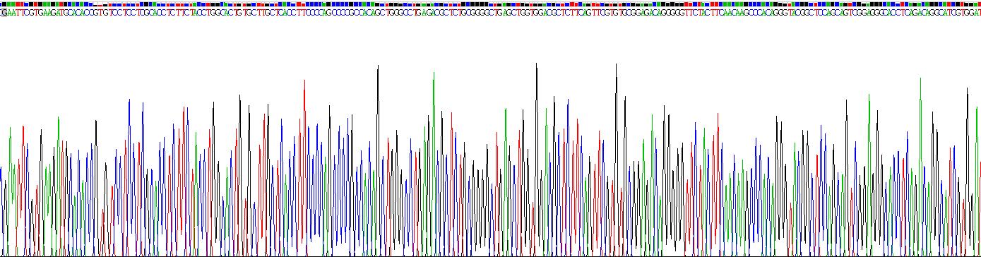 Recombinant Insulin Like Growth Factor 1 (IGF1)