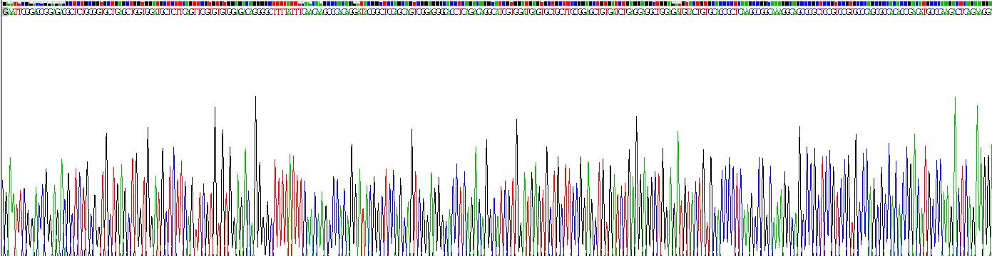 Recombinant Insulin Like Growth Factor 1 (IGF1)