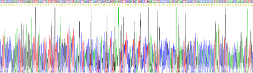 Recombinant Insulin Like Growth Factor 2 (IGF2)