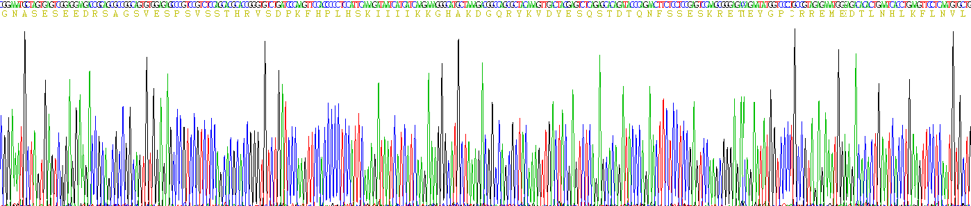 Recombinant Insulin Like Growth Factor Binding Protein 3 (IGFBP3)