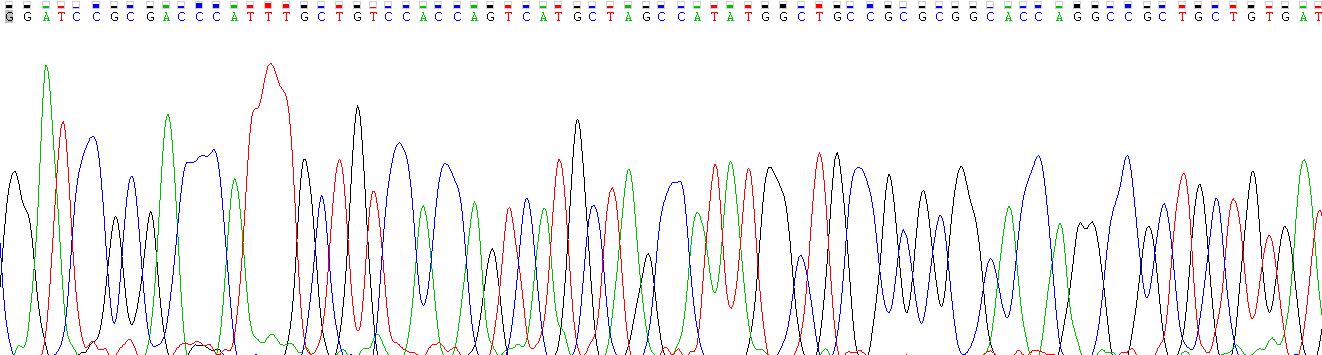 Recombinant Insulin Like Growth Factor Binding Protein 4 (IGFBP4)