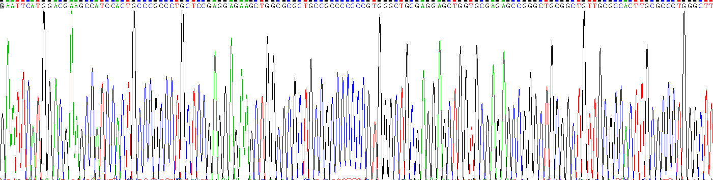 Recombinant Insulin Like Growth Factor Binding Protein 4 (IGFBP4)