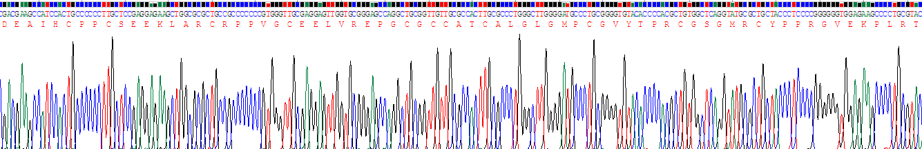 Recombinant Insulin Like Growth Factor Binding Protein 4 (IGFBP4)