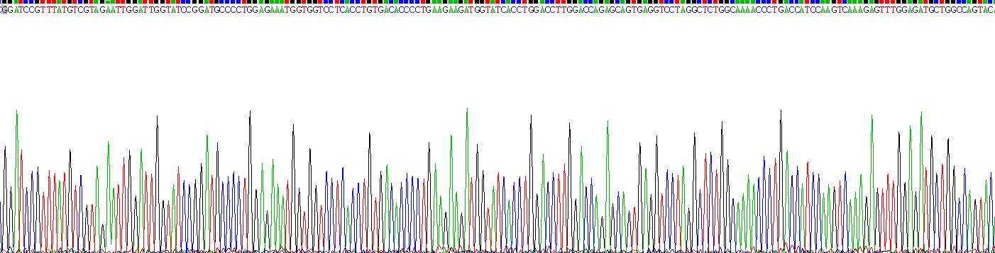 Recombinant Interleukin 12B (IL12B)