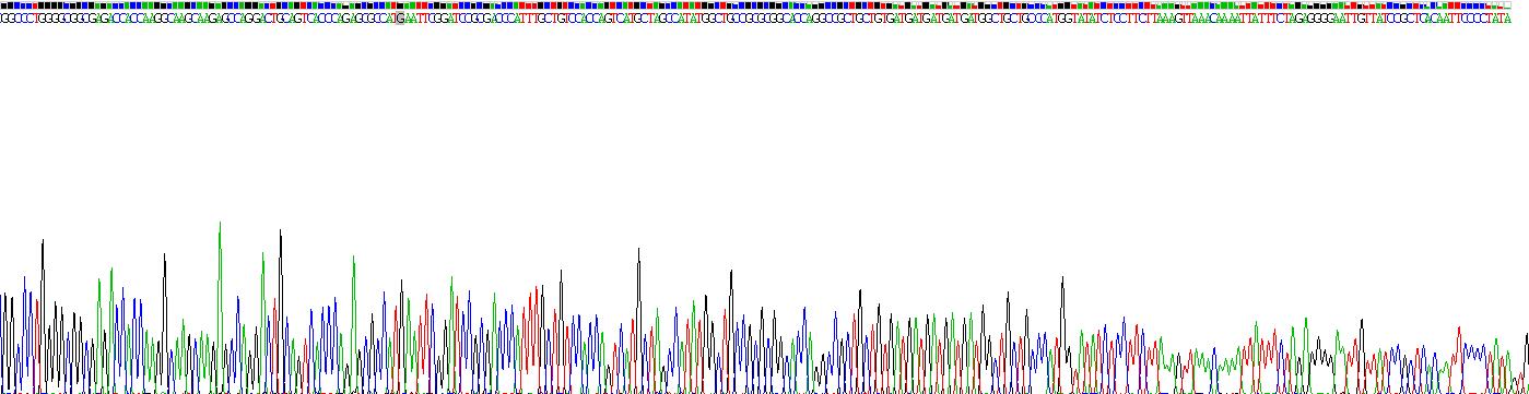 Recombinant Interleukin 13 (IL13)