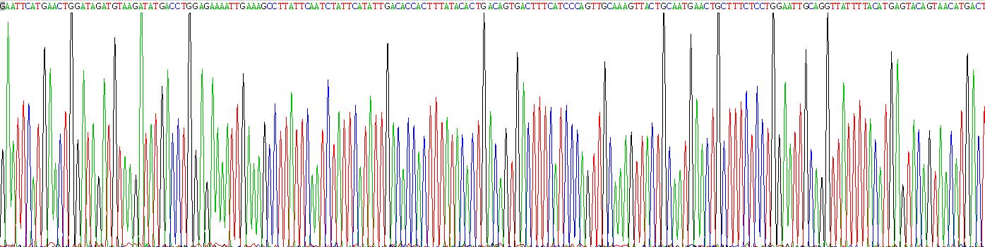 Recombinant Interleukin 15 (IL15)