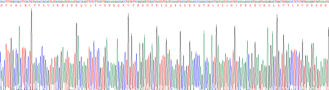 Recombinant Interleukin 18 (IL18)