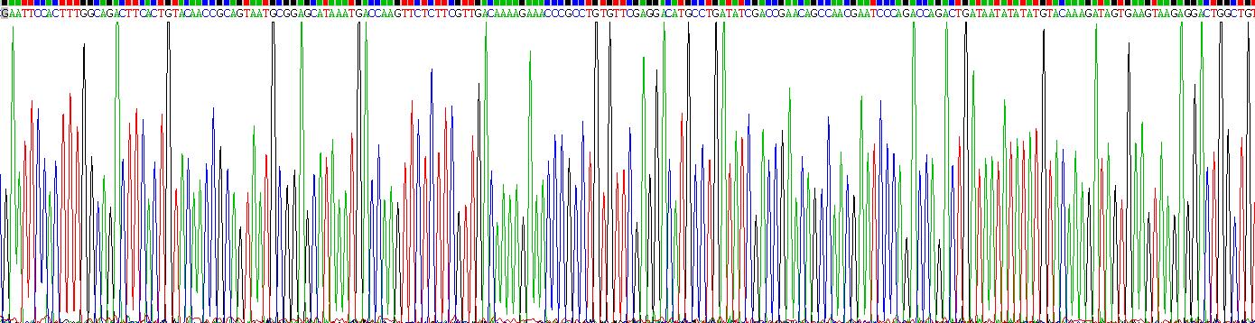 Recombinant Interleukin 18 (IL18)