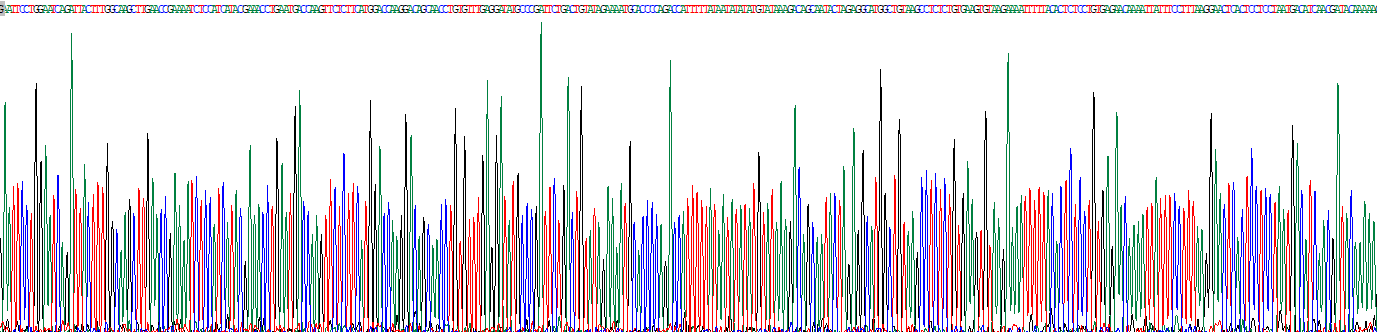 Recombinant Interleukin 18 (IL18)