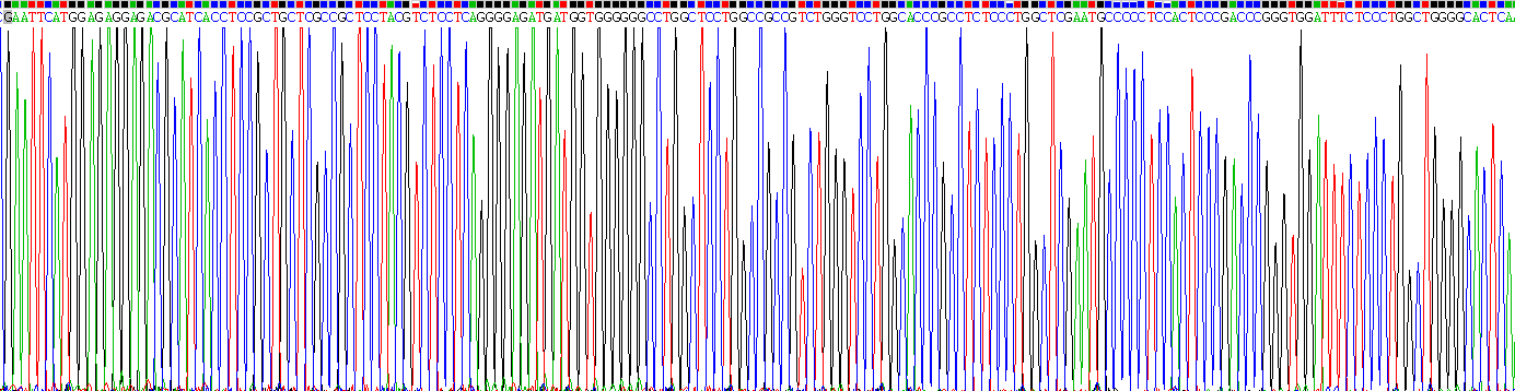 Recombinant Glial Fibrillary Acidic Protein (GFAP)