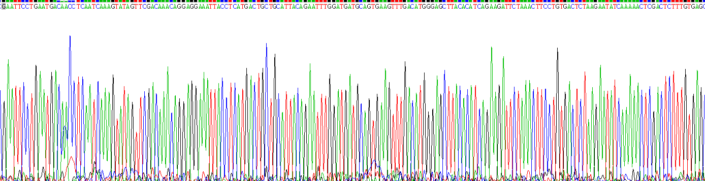 Recombinant Interleukin 1 Alpha (IL1a)