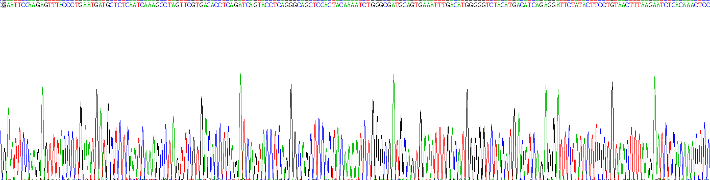 Recombinant Interleukin 1 Alpha (IL1a)