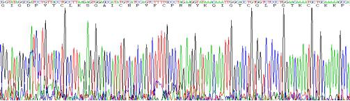 Recombinant Defensin Beta 2 (DEFb2)