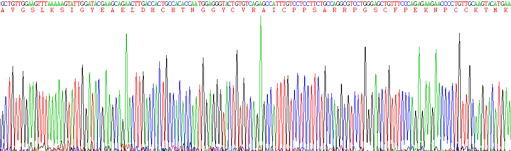 Recombinant Defensin Beta 2 (DEFb2)