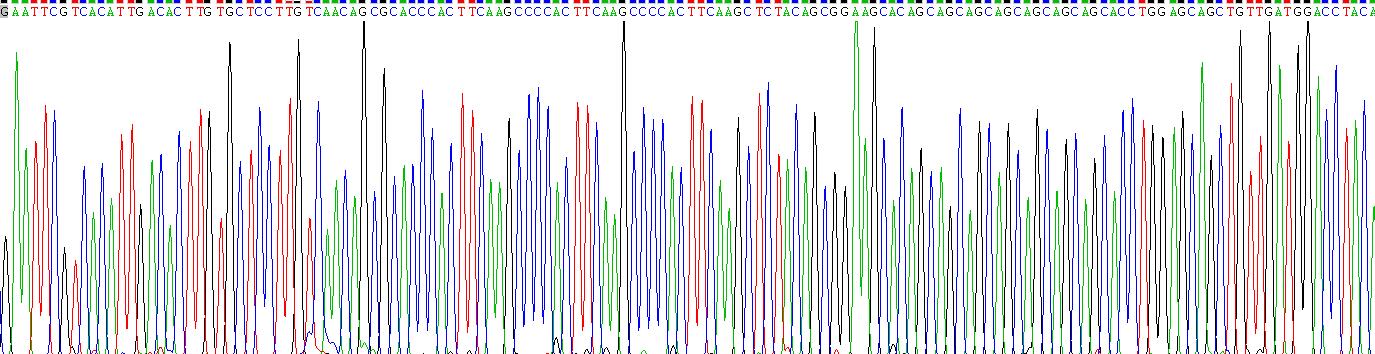 Recombinant Interleukin 2 (IL2)