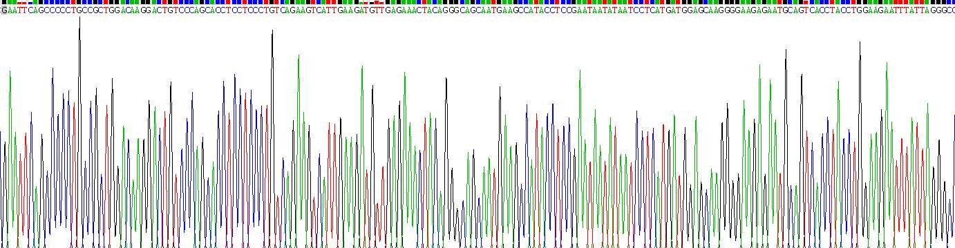 Recombinant Interleukin 3 (IL3)