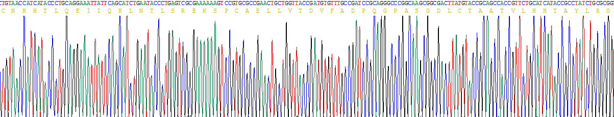 Recombinant Interleukin 4 (IL4)