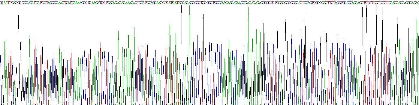 Recombinant Interleukin 4 (IL4)