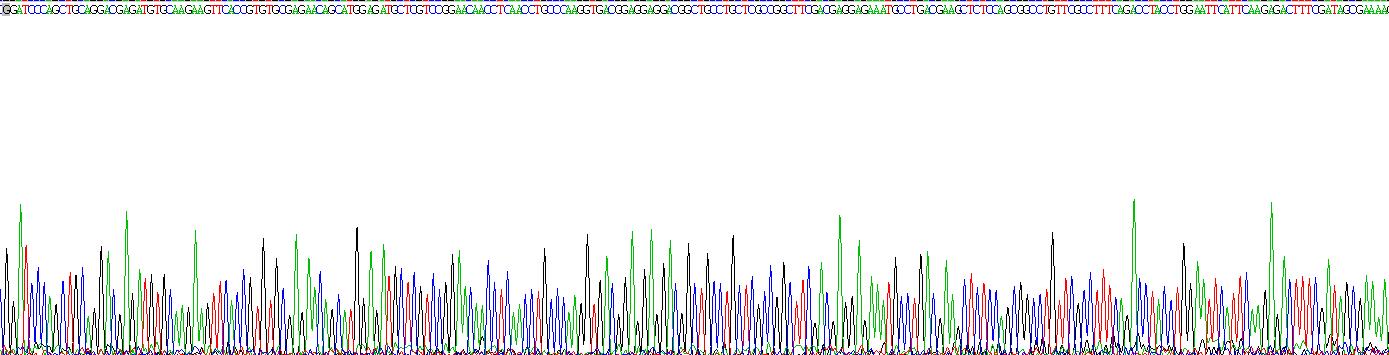 Recombinant Interleukin 6 (IL6)