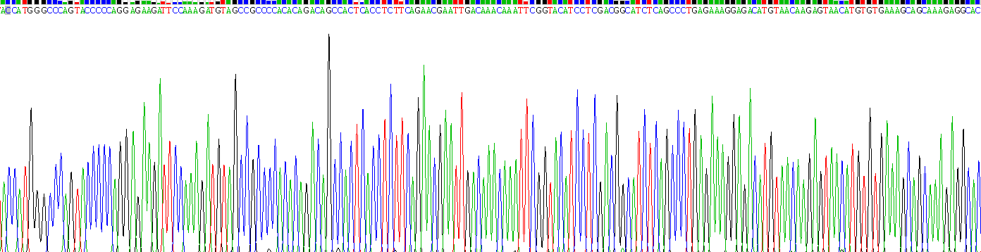 Recombinant Interleukin 6 (IL6)