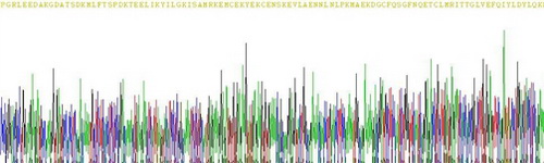 Recombinant Interleukin 6 (IL6)