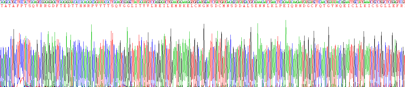 Recombinant Interleukin 6 (IL6)