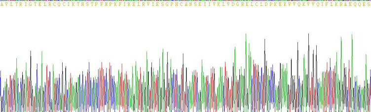 Recombinant Interleukin 8 (IL8)