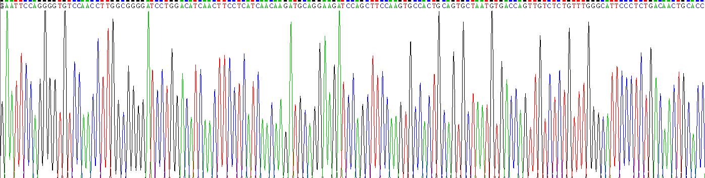 Recombinant Interleukin 9 (IL9)