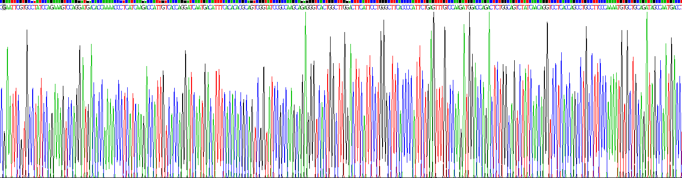 Recombinant Leptin (LEP)