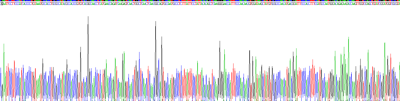 Recombinant Leukemia Inhibitory Factor (LIF)