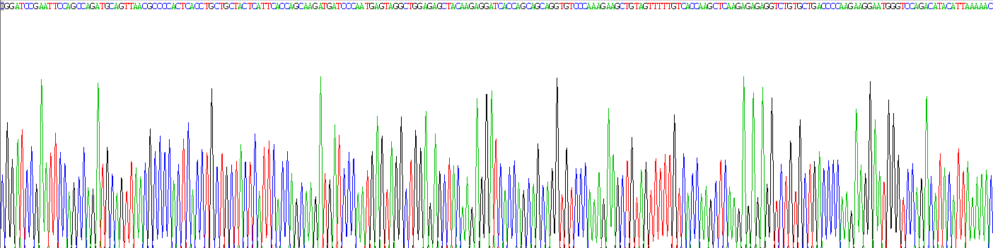 Recombinant Monocyte Chemotactic Protein 1 (MCP1)