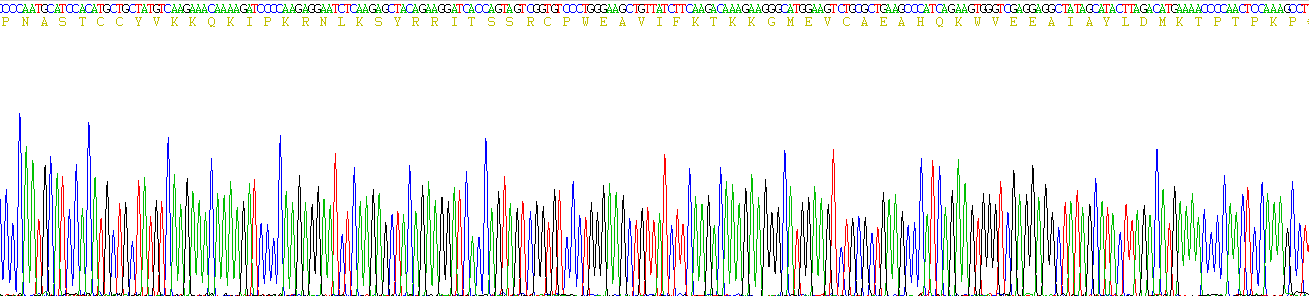 Recombinant Monocyte Chemotactic Protein 3 (MCP3)