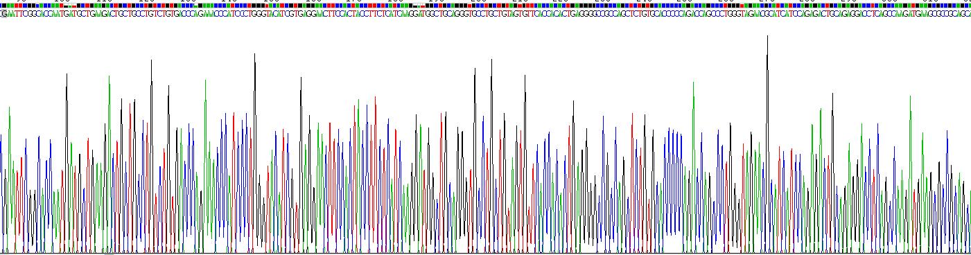 Recombinant Macrophage Inflammatory Protein 3 Beta (MIP3b)