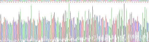 Recombinant Matrix Metalloproteinase 1 (MMP1)