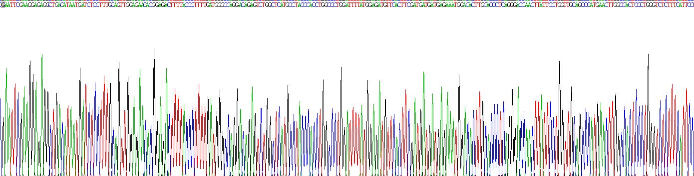 Recombinant Matrix Metalloproteinase 10 (MMP10)