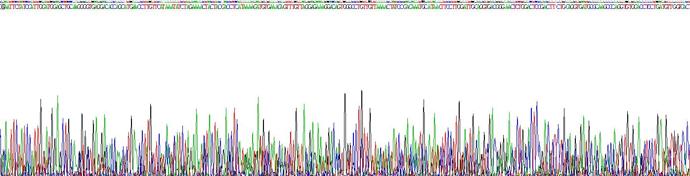 Recombinant Matrix Metalloproteinase 3 (MMP3)