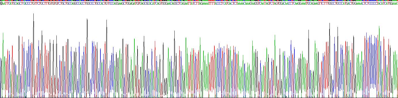 Recombinant Matrix Metalloproteinase 7 (MMP7)