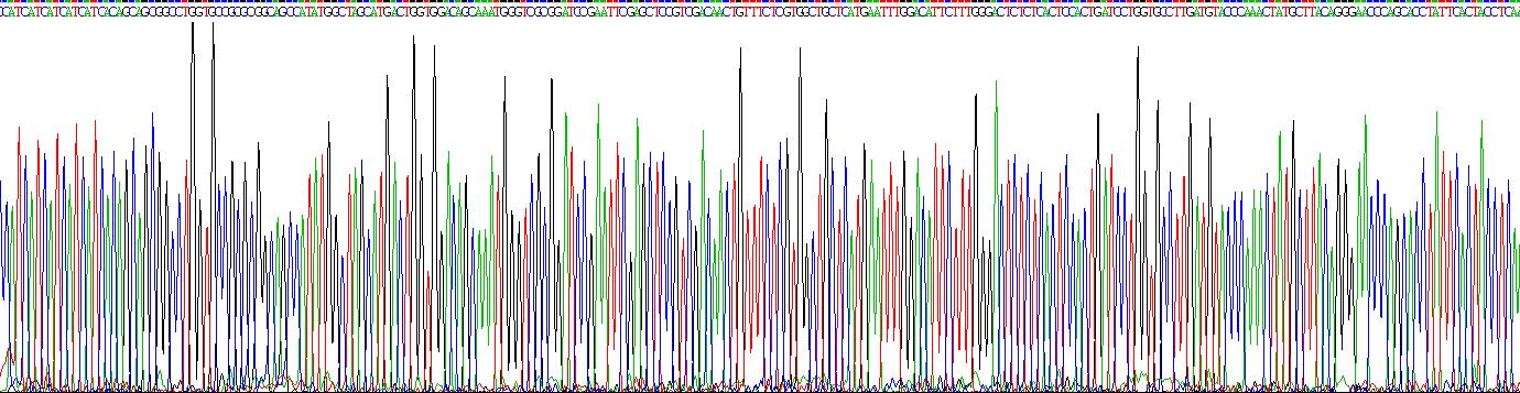 Recombinant Matrix Metalloproteinase 8 (MMP8)