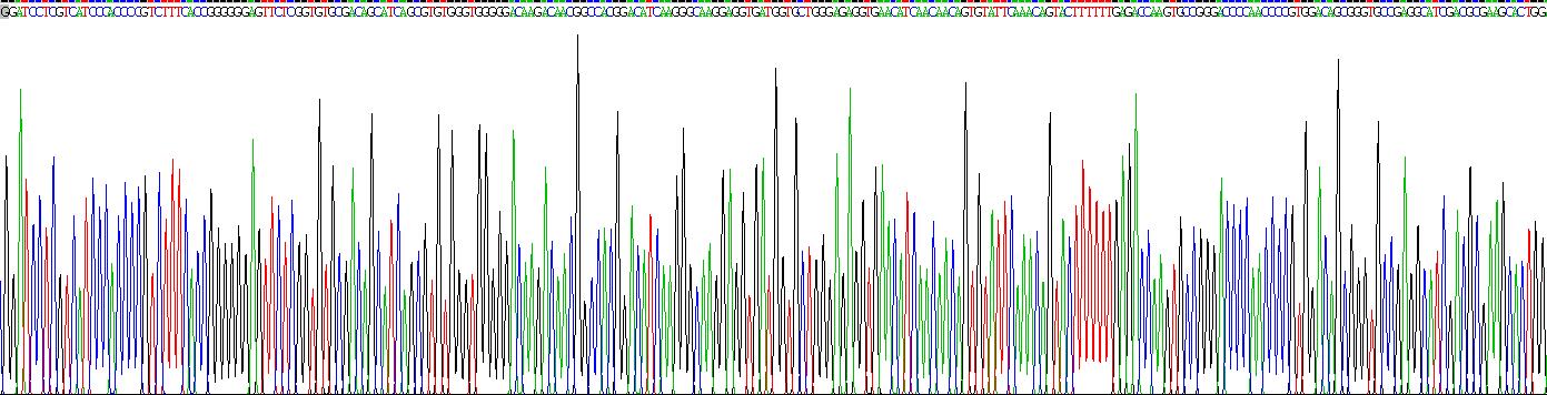 Recombinant Nerve Growth Factor (NGF)