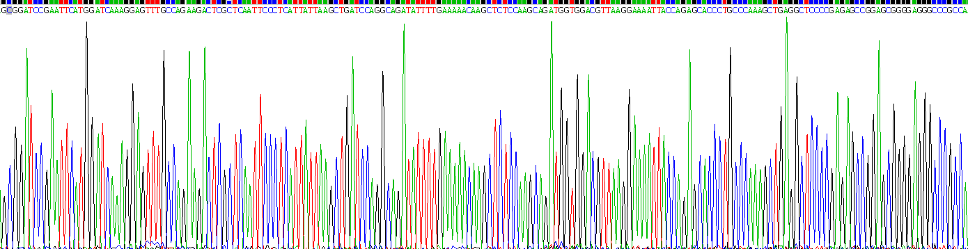 Recombinant Neurotrophin 3 (NT3)