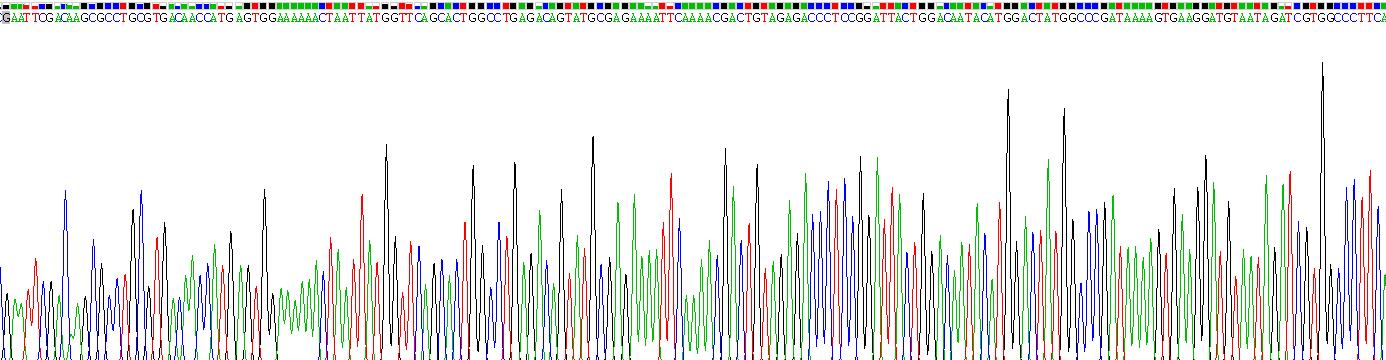 Recombinant Ribonuclease T2 (RNASET2)