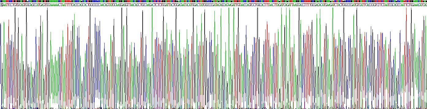 Recombinant Ribonuclease T2 (RNASET2)