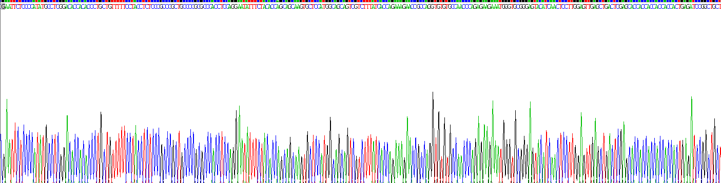 Recombinant Regulated On Activation In Normal T-Cell Expressed And Secreted (RANTES)