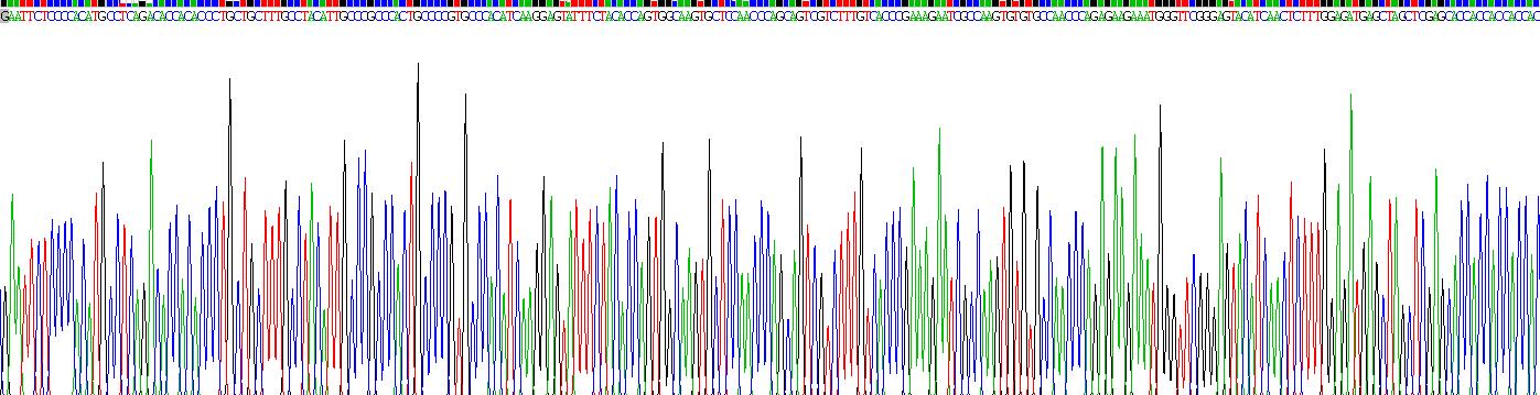 Recombinant Regulated On Activation In Normal T-Cell Expressed And Secreted (RANTES)