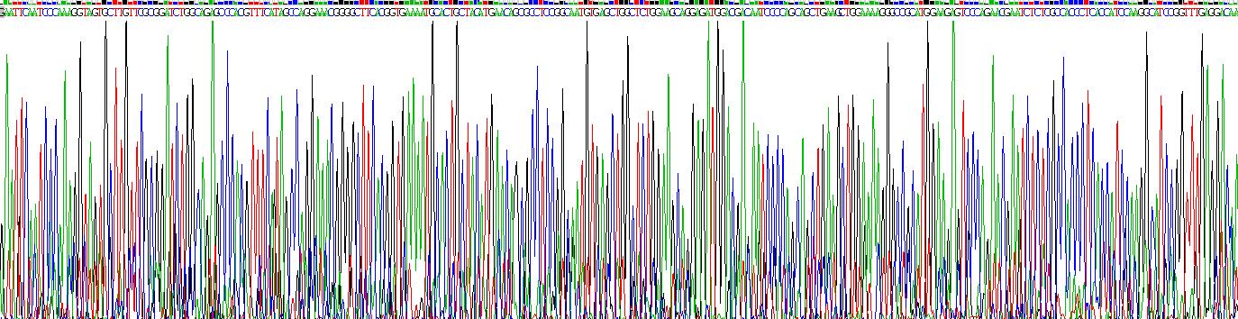 Recombinant Cluster Of Differentiation 30 Ligand (CD30L)