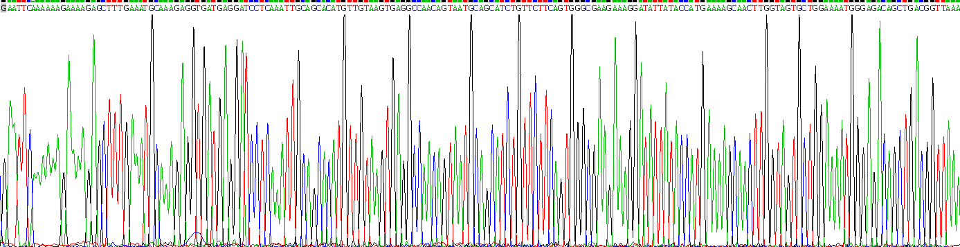 Recombinant Cluster Of Differentiation 40 Ligand (CD40L)